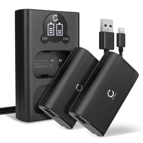 2x Battery for Panasonic Lumix DC-S1, DC-S1H, DC-S1M2, DC-S1M2ES DMW-BLJ31 (2200mAh, 7.4V) + Dual Charger from CELLONIC